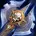 death knight class icon