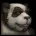 Pandaren icon