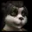 Pandaren icon