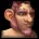 Gnome icon
